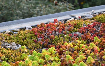 the cost of Willacy Lane End green roof installation