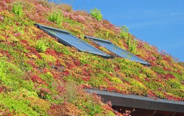 Willacy Lane End living roof systems