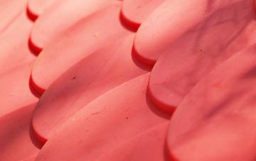 Willacy Lane End plastic roof costs